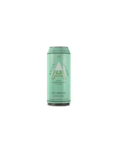 Pack Andes Origen IPA x 24 un